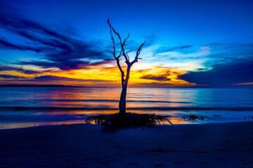 Beyond Golden Hour: Finding Beautiful Photographs in Unexpected Light