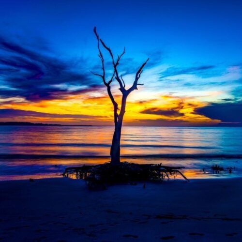 Beyond Golden Hour: Finding Beautiful Photographs in Unexpected Light