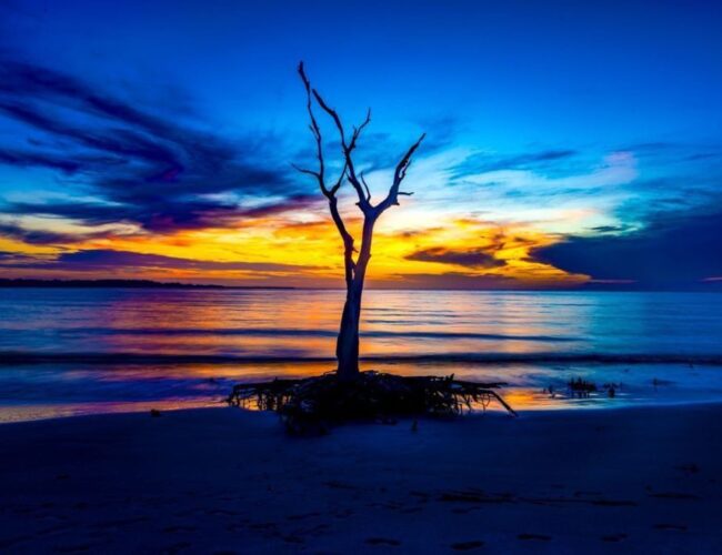 Beyond Golden Hour: Finding Beautiful Photographs in Unexpected Light
