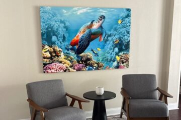 The Finished Photograph: A Professional Guide to Metal Prints