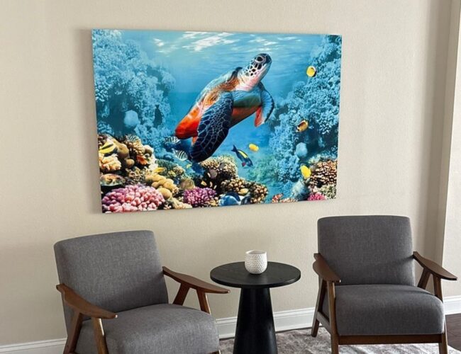 The Finished Photograph: A Professional Guide to Metal Prints