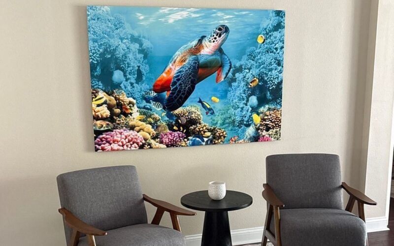 Sea turtle and coral wall art displayed above two gray chairs and a small round table