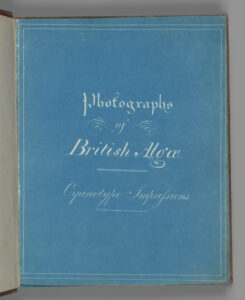 Blue cyanotype title page of Anna Atkins's Photographs of British Algae, with pale handwritten lettering.