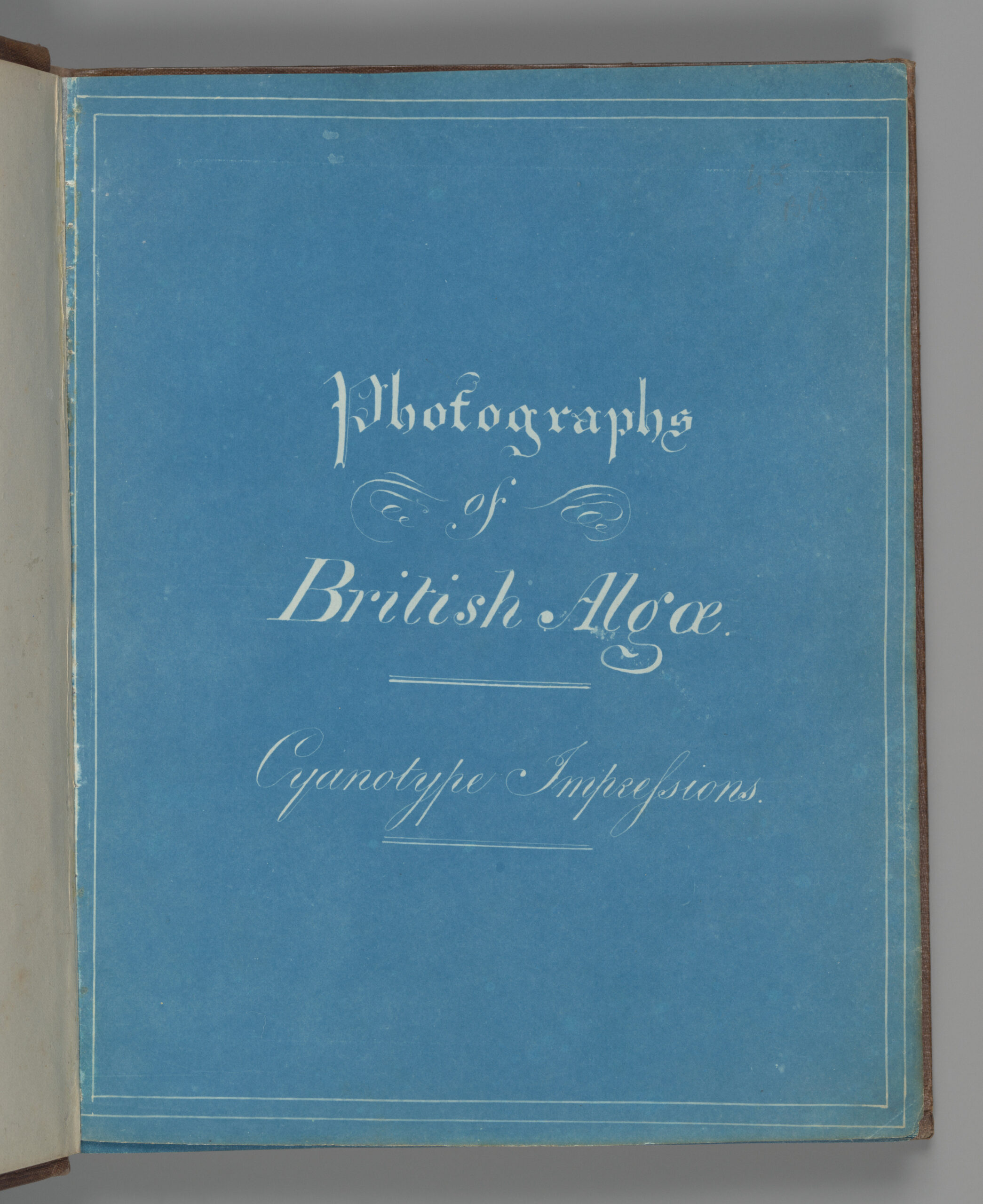 Blue cyanotype title page of Anna Atkins's Photographs of British Algae, with pale handwritten lettering.